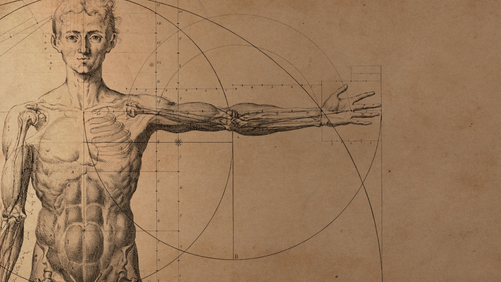 fenotyp człowieka wpis