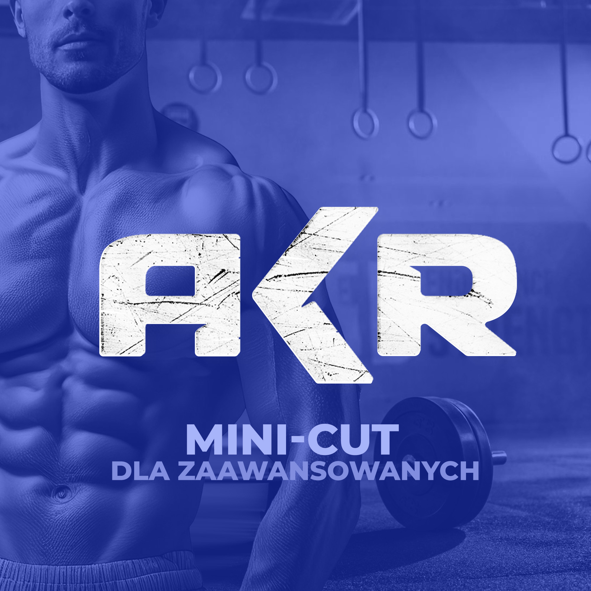 Projekt AKR
